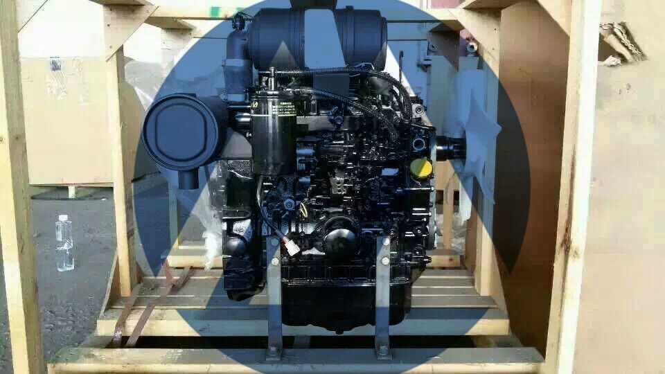 3TNV8801.jpg