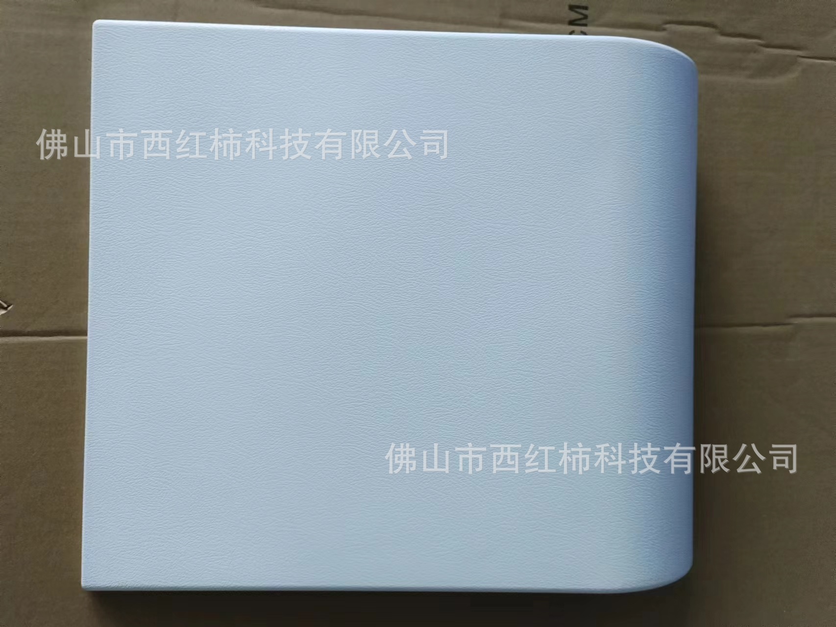 BM-DZ01 white .jpg