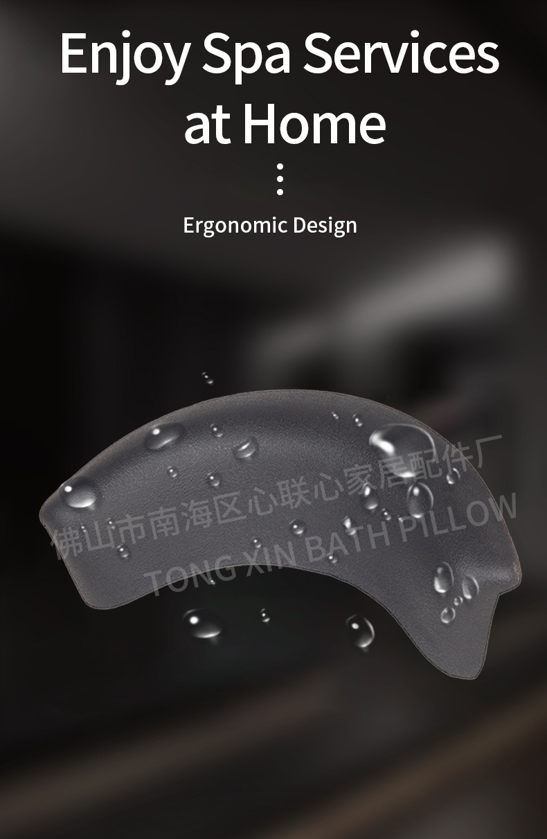 TO-81_05.jpg