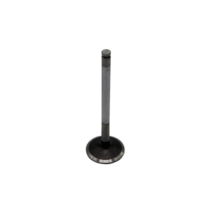 Construction Machinery Parts DE12 D2366 Intake Valve 65.04101-0043 Exhaust Valve 65.04101-0044 Engine Part